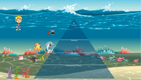 Ocean Ecological Pyramid