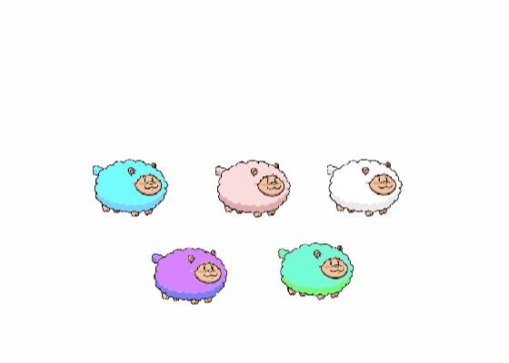 Colorful sheep