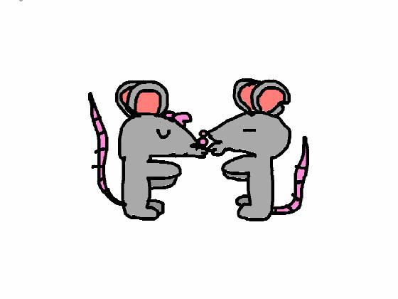 mice