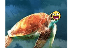 Happy Meme Turtle