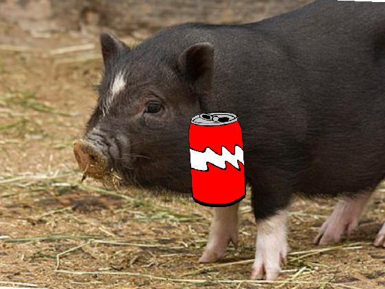 soda pig (OUTDATED)