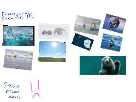 SAVE POLAR BEARS GLOBAL WARNING