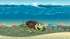 Turtle slideshow