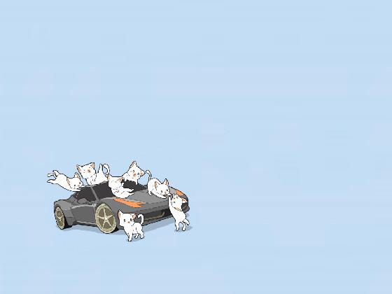 Cat Car!