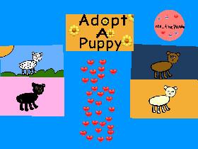 Adopt a puppy