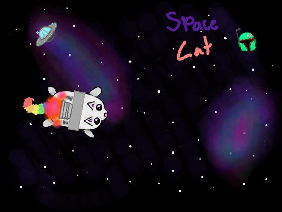 challenge 11, SPACE CAT! 1