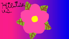 My hibiscus art.