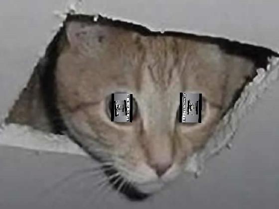 kitty of nothinnes 1