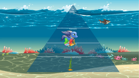 Ocean Ecological Pyramid