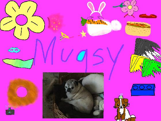 Mugsy dress up! (my dog)