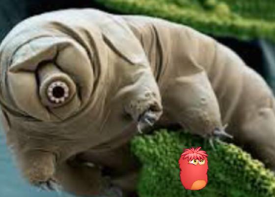 the fun tardigrade game