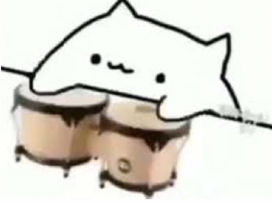 My bongo cat