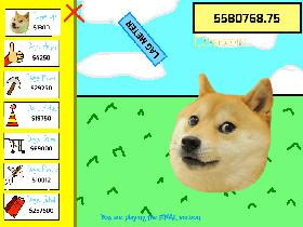 Doge 1 1