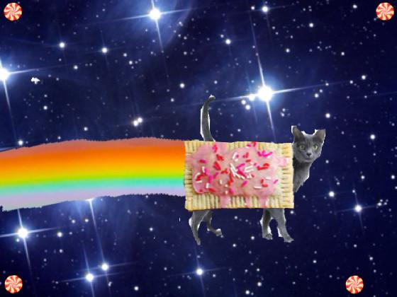 Real nyan cat XD