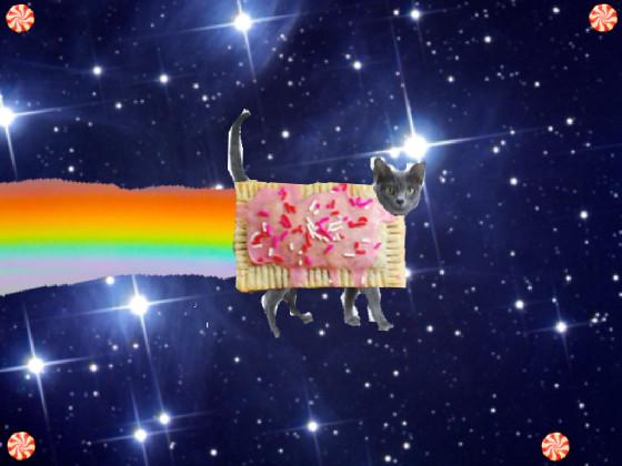 Real nyan cat 1 1