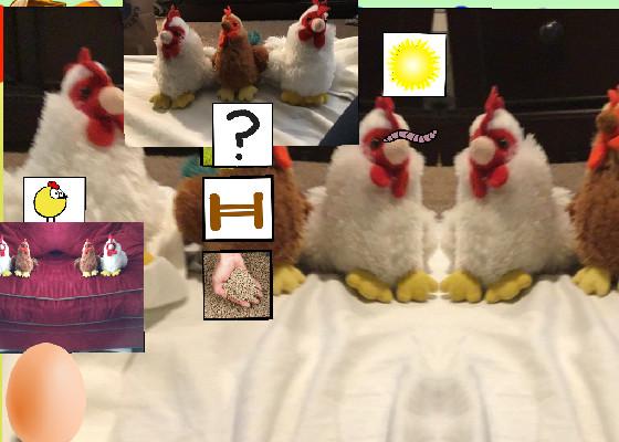 Chickens 9