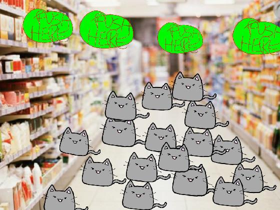 Millons of cats in store