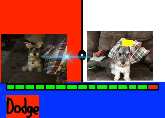 dog battles (copy)