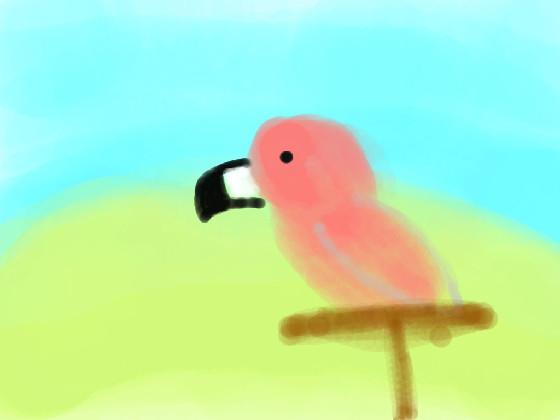 My Talking Parrot  1