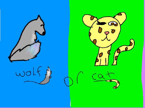 wolf or cat