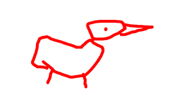 duck