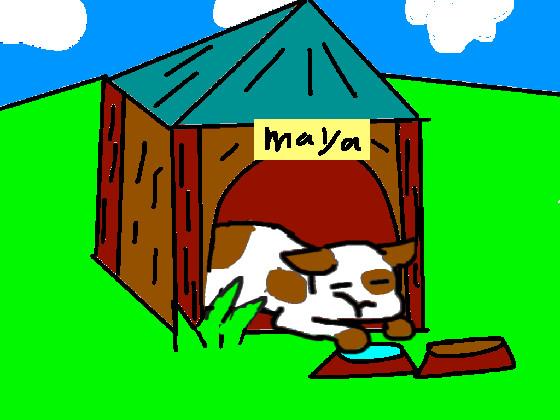 maya the dog