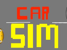 Car Sim RELEASED 1 1