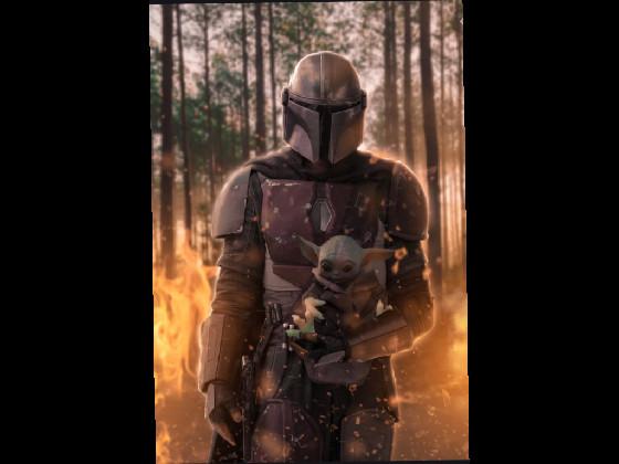 The MANDALORIAN