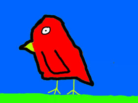 my bird