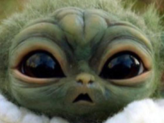 Baby Yoda!!! 1