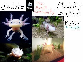 The Axolotl Community