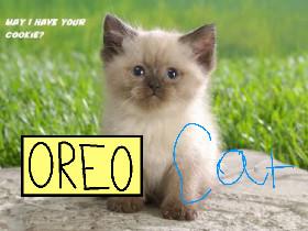 Talk To Oreo Or Cookie 1