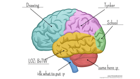 Anatomy of my brain