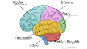 My brain