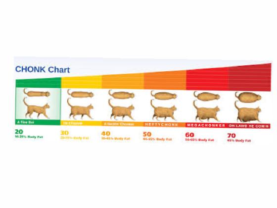 the chomk chart