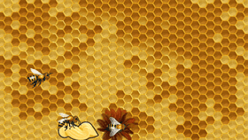 Inside the hive