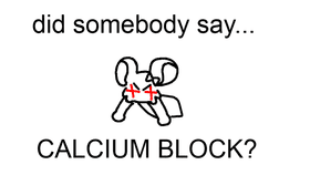 CALCIUM BLOCK