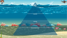 Ocean Ecological Pyramid