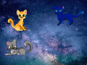 WARRIOR cat speed draws