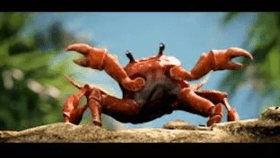 crab rave