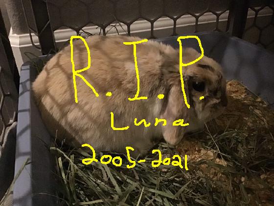 RIP Luna