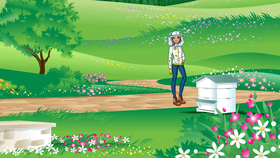 Honey Bee Game Link Story