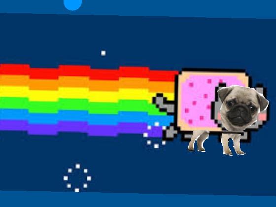 nyan pug!! 1