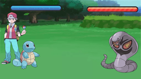 pokemon fight