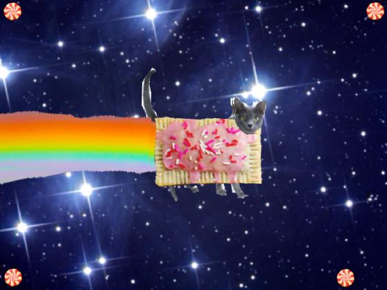 Real nyan cat 1 1