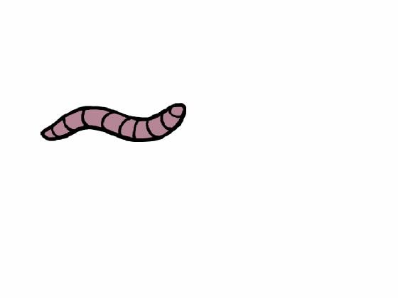 Squirm the worm 1