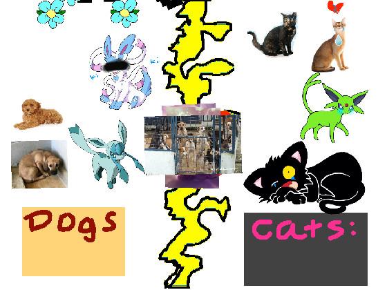 Dogs vs Cats!!🐈🐕 1