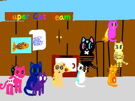 The SUPER CAT Team Ep 1