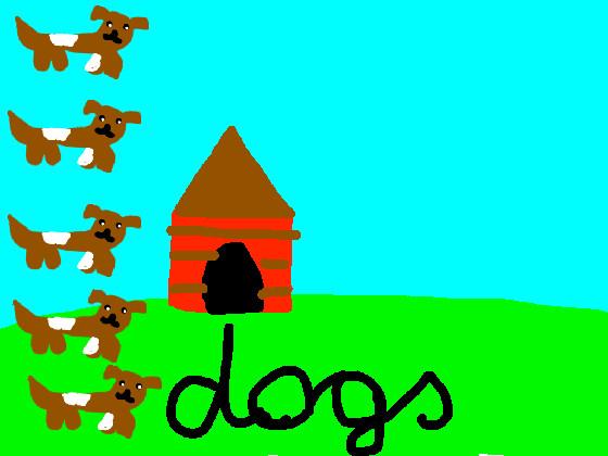 dogs