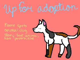 Adoption